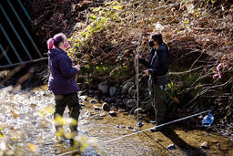 Still Creek Monitoring Program