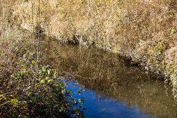 Still Creek Monitoring Program