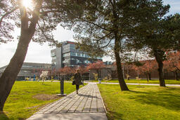 Langara through the Trees: Around Campus 007