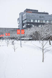 Langara Campus in the Snow: Around Campus 002