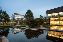 Pond in the Evening: Around Campus 021