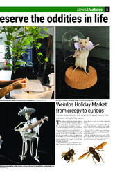 Voice 11 30 21.pdf-5