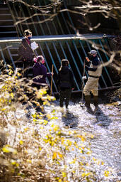 Still Creek Monitoring Program