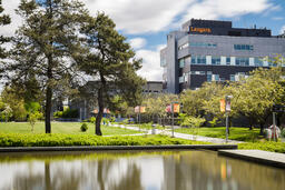 Across the Pond: Around Campus 014