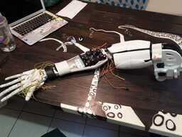 A Study of Robot Brain Architecture Using Methods of Animation Principles