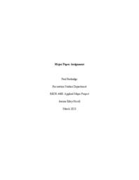 Major Paper Assignment