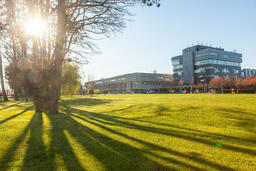 Main Buildings in the Morning Sun: Around Campus 001